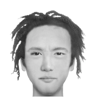 Illustration for article titled Police composite software makes realistic portraits of literary characters